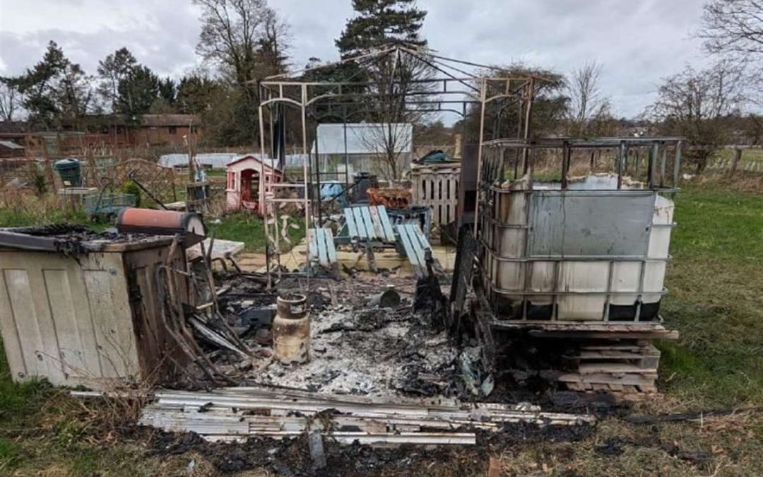 Allotment burglary in Stakeford