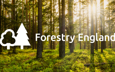 New direction for England’s public forest estate