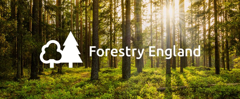 New direction for England’s public forest estate