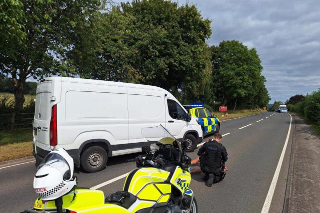 Fish stolen in South Tyneside